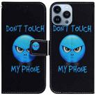 For iPhone 14 Pro Coloured Drawing Flip Leather Phone Case(Anger) - 1