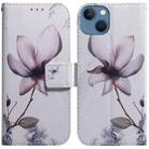 For iPhone 14 Plus Coloured Drawing Flip Leather Phone Case(Magnolia) - 1