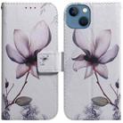 For iPhone 14 Coloured Drawing Flip Leather Phone Case(Magnolia) - 1