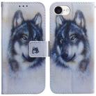 For iPhone SE 2024 Coloured Drawing Flip Leather Phone Case(White Wolf) - 1