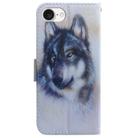 For iPhone SE 2024 Coloured Drawing Flip Leather Phone Case(White Wolf) - 3