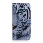 For iPhone SE 2024 Coloured Drawing Flip Leather Phone Case(Tiger) - 2