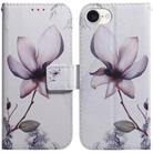 For iPhone SE 2024 Coloured Drawing Flip Leather Phone Case(Magnolia) - 1