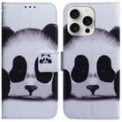 For iPhone 16 Pro Coloured Drawing Flip Leather Phone Case(Panda) - 1