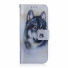 For iPhone 16 Plus Coloured Drawing Flip Leather Phone Case(White Wolf) - 3