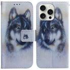 For iPhone 16 Pro Max Coloured Drawing Flip Leather Phone Case(White Wolf) - 1