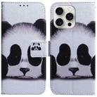 For iPhone 16 Pro Max Coloured Drawing Flip Leather Phone Case(Panda) - 1