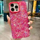 For iPhone 15 Pro IMD Shell Texture TPU + Acrylic Phone Case(Rose Red) - 1