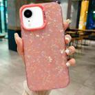 For iPhone XR IMD Shell Texture TPU + Acrylic Phone Case(Pink) - 1