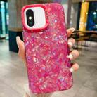 For iPhone XS Max IMD Shell Texture TPU + Acrylic Phone Case(Rose Red) - 1