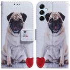 For Samsung Galaxy M34 5G/F34 5G Coloured Drawing Flip Leather Phone Case(Pug) - 1