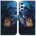 For Samsung Galaxy S24 5G Coloured Drawing Flip Leather Phone Case(Oil Painting Owl) - 1