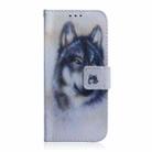 For Samsung Galaxy M15/F15 Coloured Drawing Flip Leather Phone Case(White Wolf) - 2