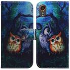 For Samsung Galaxy Xcover7 Coloured Drawing Flip Leather Phone Case(Oil Painting Owl) - 1