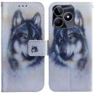 For Realme C53 / Narzo N53 Coloured Drawing Flip Leather Phone Case(White Wolf) - 1