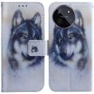 For Realme 11 4G Global Coloured Drawing Flip Leather Phone Case(White Wolf) - 1