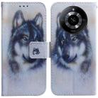 For Realme 11 5G/Narzo 60 India Version Coloured Drawing Flip Leather Phone Case(White Wolf) - 1