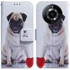 For Realme 11 5G/Narzo 60 India Version Coloured Drawing Flip Leather Phone Case(Pug) - 1