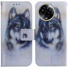 For Realme 11 5G Global Coloured Drawing Flip Leather Phone Case(White Wolf) - 1