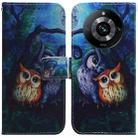 For Realme 11 Pro 5G/11 Pro+ 5G/Narzo 60 Pro 5G Coloured Drawing Flip Leather Phone Case(Oil Painting Owl) - 1