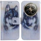 For Realme 12 Pro+ Global Coloured Drawing Flip Leather Phone Case(White Wolf) - 1