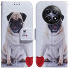 For Realme 12 5G Coloured Drawing Flip Leather Phone Case(Pug) - 1