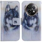 For Realme 13+ Global Coloured Drawing Flip Leather Phone Case(White Wolf) - 1