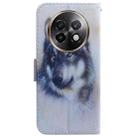 For Realme 13+ Global Coloured Drawing Flip Leather Phone Case(White Wolf) - 3