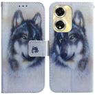 For OPPO A59 5G / A2M Coloured Drawing Flip Leather Phone Case(White Wolf) - 1