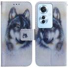 For OPPO Reno11 F Global Coloured Drawing Flip Leather Phone Case(White Wolf) - 1