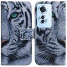 For OPPO F25 Pro 5G Global Coloured Drawing Flip Leather Phone Case(Tiger) - 1