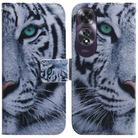 For OPPO A60 4G Coloured Drawing Flip Leather Phone Case(Tiger) - 1