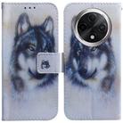 For OPPO A3 Pro 5G Coloured Drawing Flip Leather Phone Case(White Wolf) - 1