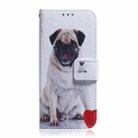 For OPPO Reno12 5G Global Coloured Drawing Flip Leather Phone Case(Pug) - 2