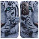 For OPPO Reno12 Pro 5G Global Coloured Drawing Flip Leather Phone Case(Tiger) - 1