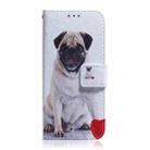 For OPPO Reno12 Pro 5G Global Coloured Drawing Flip Leather Phone Case(Pug) - 2