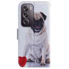 For OPPO Reno12 Pro 5G Global Coloured Drawing Flip Leather Phone Case(Pug) - 3