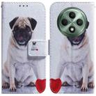 For OPPO Reno12 F 5G Coloured Drawing Flip Leather Phone Case(Pug) - 1