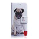 For OPPO Reno12 F 5G Coloured Drawing Flip Leather Phone Case(Pug) - 2