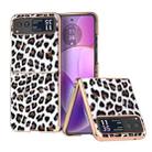 For Motorola Razr 40 Nano Plating Leopard Print Phone Case(Silver) - 1