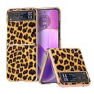 For Motorola Razr 40 Nano Plating Leopard Print Phone Case(Gold) - 1