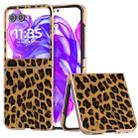 For Motorola Razr 50 Nano Plating Leopard Print Phone Case(Brown) - 1