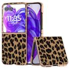 For Motorola Razr 50 Ultra Nano Plating Leopard Print Phone Case(Brown) - 1