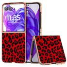 For Motorola Razr 50 Ultra Nano Plating Leopard Print Phone Case(Red) - 1