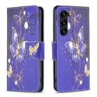 For Samsung Galaxy S24+ 5G Colored Drawing Pattern Leather Phone Case(Purple Butterfly) - 1