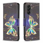For Samsung Galaxy A35 Colored Drawing Pattern Leather Phone Case(Big Butterfly) - 1