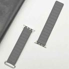 For Apple Watch Series 10 46mm Reverse Buckle Magnetic Silicone Watch Band(Silver Buckle Grey Brown) - 2