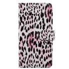 For Samsung Galaxy A25 5G Colored Drawing Leather Phone Case(Leopard) - 2