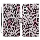 For Samsung Galaxy S23 FE 5G Colored Drawing Leather Phone Case(Leopard) - 1