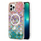 For iPhone 14 Pro Marble Pattern Dual-side IMD Magsafe TPU Phone Case(Colorful Scales) - 1